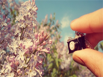 “贴身”竞速，辽宁靠什么守位？贴身竞速，辽宁如何稳固守位？