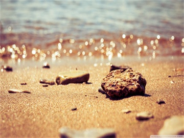 公积金缴存明细打印流程及地点指南