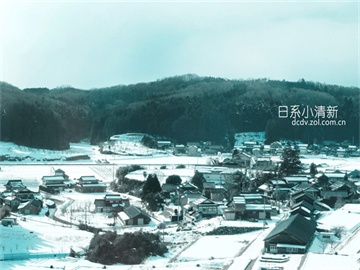 股票账户购买债券，风险与注意事项