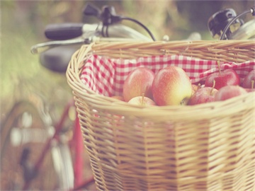 车险公司推荐，哪家保险公司车险服务更优秀？