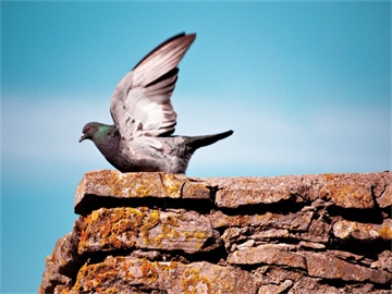 波段操作要领与技巧详解