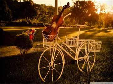 波段操作要领与技巧详解