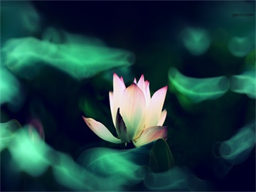 车险综合改革实施时间确定，多项险种受影响