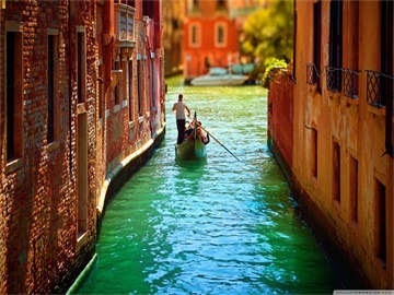 创新加速度，构建包容发展生态的探讨