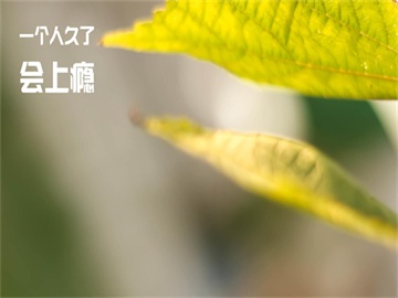 波段操作要领与技巧详解