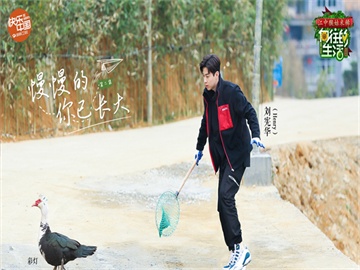 股票账户购买债券，风险与注意事项