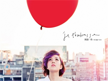 股票中的ADS含义及用途解析