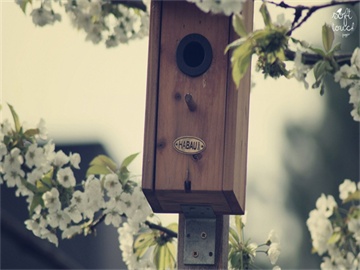 创业板新股停牌时间及解析