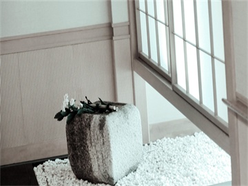 创业板新股停牌时间及解析