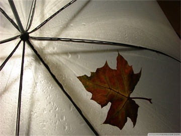 车辆保险收费标准详解