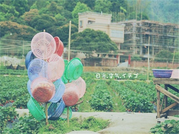 创业板新股停牌时间及解析