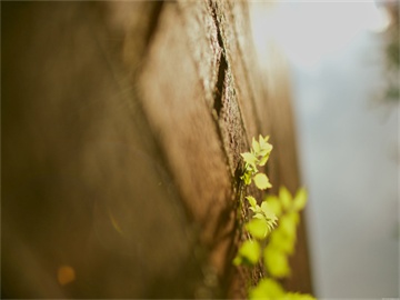 电话车险购买攻略