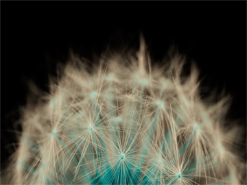 结婚14年，她遭遇长达13年的暴力对待