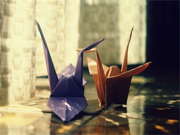 公积金缴存明细打印流程及地点指南