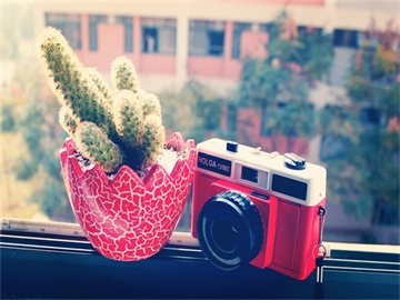 车辆保险购买建议，哪种保险最适合您？