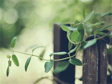 如何合理设置股票止盈止损？参考方法一览表！