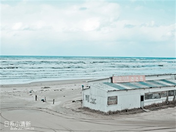 股票账户购买债券，风险与注意事项