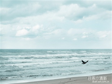 股票账户购买债券，风险与注意事项