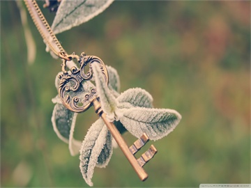 车辆保险收费标准详解