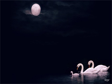 车辆保险收费标准详解