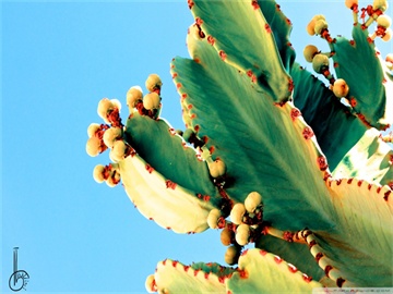 股票换手率作用解析，影响股价走势的重要指标之一