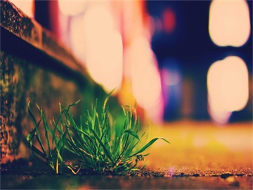 职工医保与居民医保的差异性解析，一文解读其区别